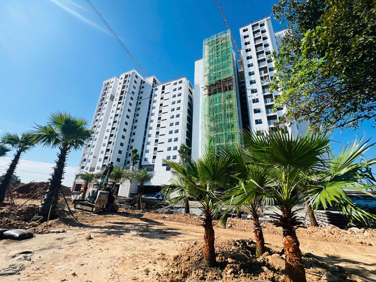 NHỮNG NGÀY LAO ĐỘNG CỦA CÔNG TY UNICO - DỰ ÁN NOXH THĂNG LONG CUỐI NĂM 2025 